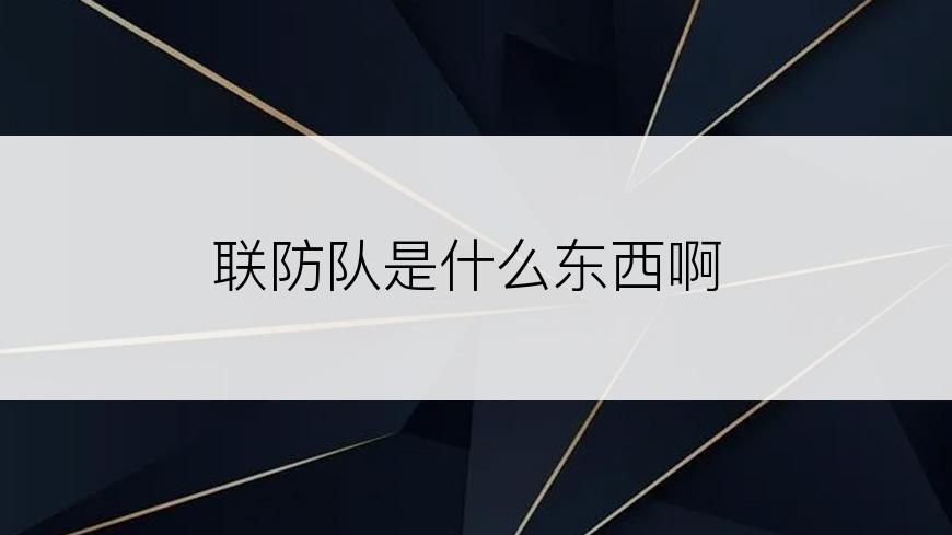 联防队是什么东西啊