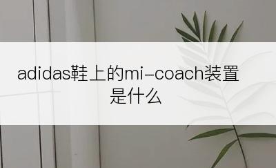 adidas鞋上的mi-coach装置是什么