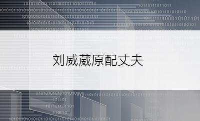刘威葳原配丈夫