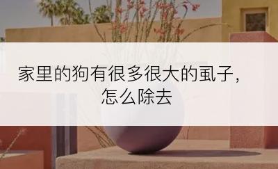 家里的狗有很多很大的虱子，怎么除去