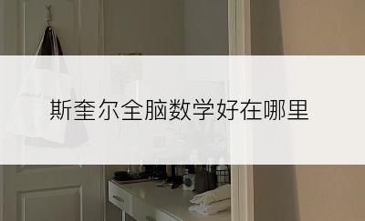 斯奎尔全脑数学好在哪里
