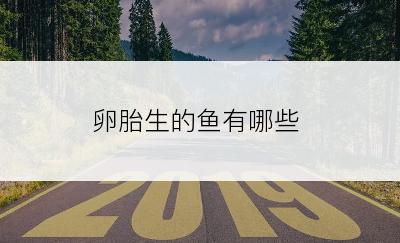 卵胎生的鱼有哪些