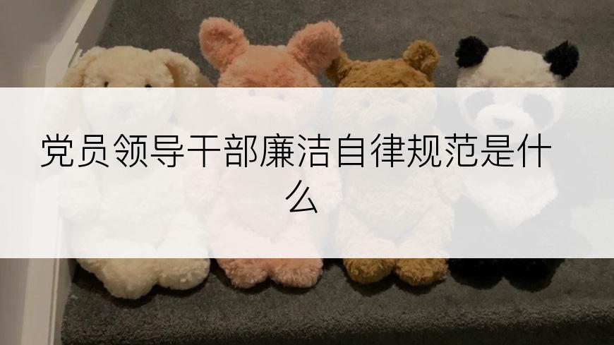 党员领导干部廉洁自律规范是什么