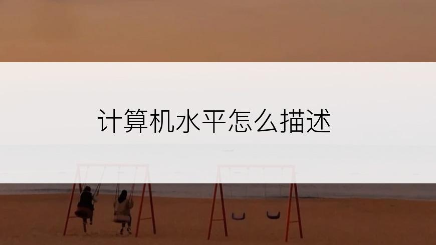 计算机水平怎么描述