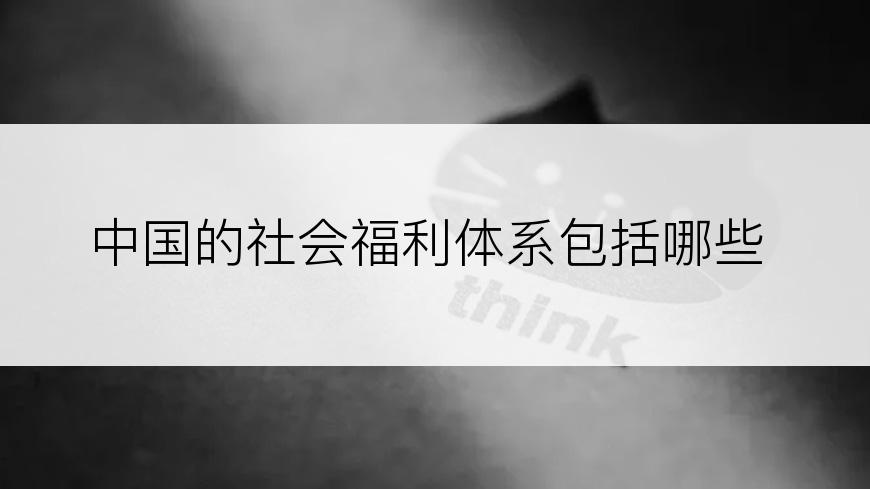中国的社会福利体系包括哪些