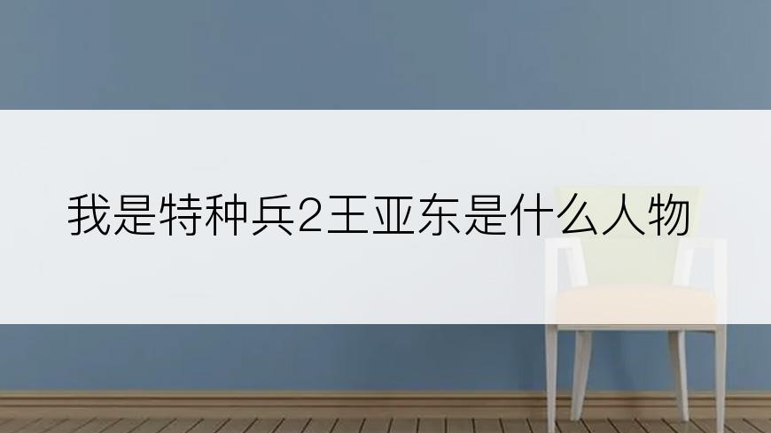 我是特种兵2王亚东是什么人物