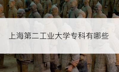上海第二工业大学专科有哪些
