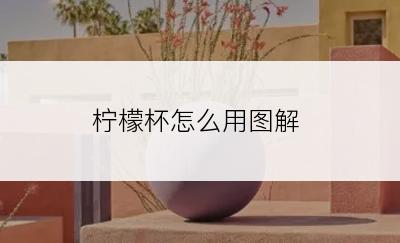 柠檬杯怎么用图解