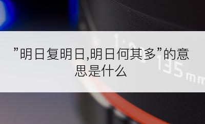 ”明日复明日,明日何其多”的意思是什么