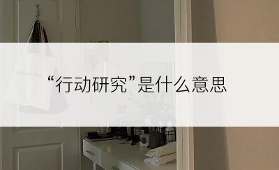 “行动研究”是什么意思