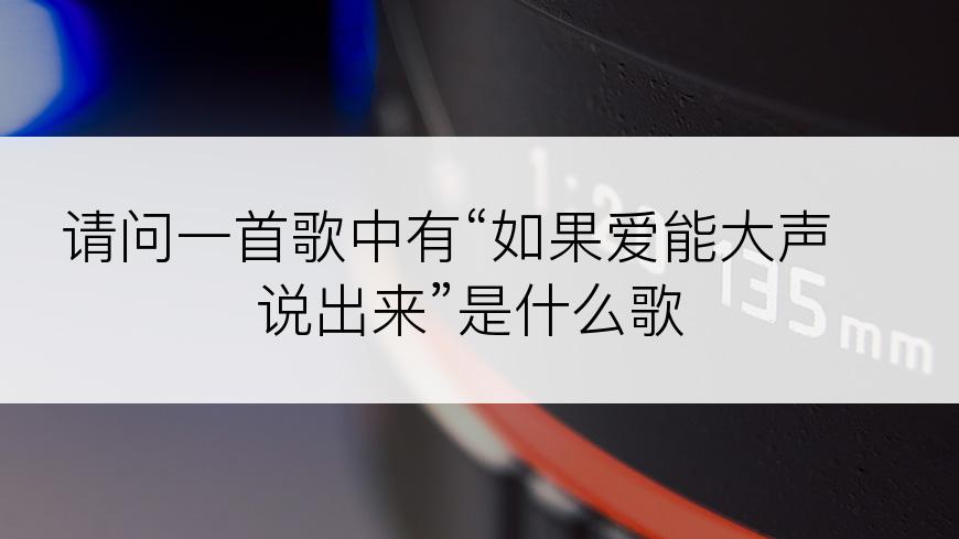 请问一首歌中有“如果爱能大声说出来”是什么歌
