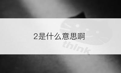2是什么意思啊