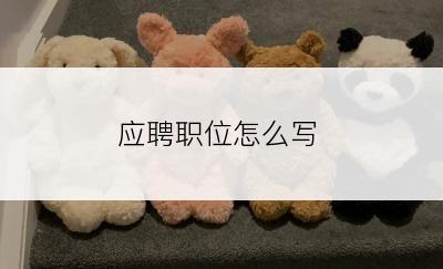 应聘职位怎么写