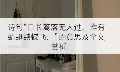 诗句“日长篱落无人过，惟有蜻蜓蛱蝶飞。”的意思及全文赏析