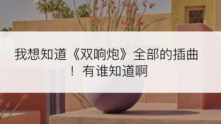 我想知道《双响炮》全部的插曲！有谁知道啊