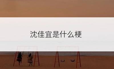 沈佳宜是什么梗