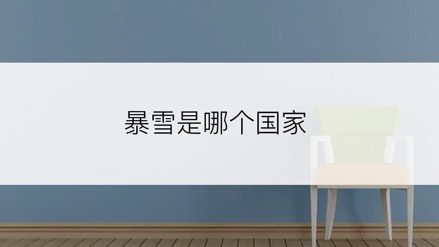 暴雪是哪个国家