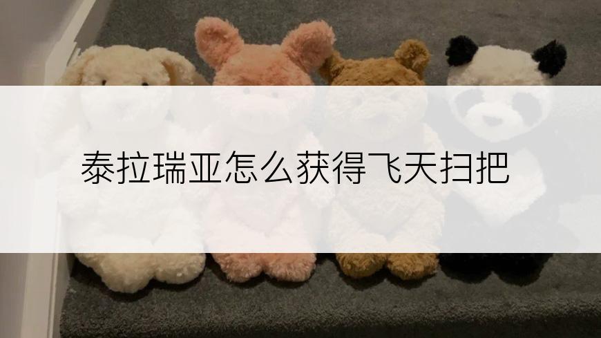 泰拉瑞亚怎么获得飞天扫把