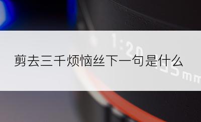 剪去三千烦恼丝下一句是什么
