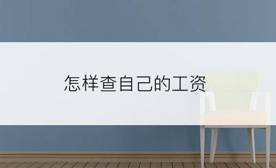 怎样查自己的工资