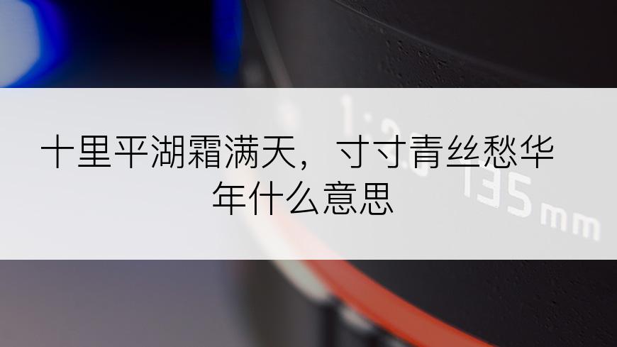 十里平湖霜满天，寸寸青丝愁华年什么意思