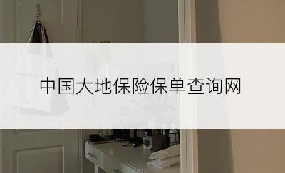 中国大地保险保单查询网