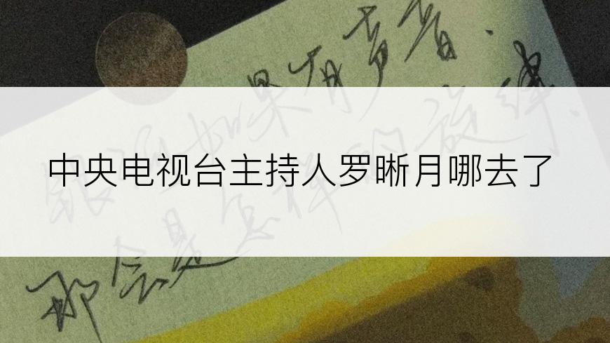 中央电视台主持人罗晰月哪去了