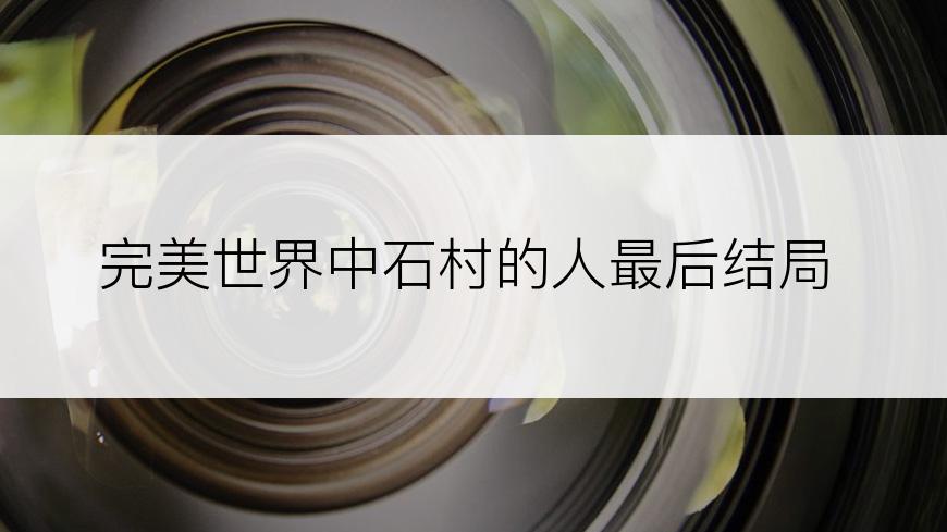 完美世界中石村的人最后结局