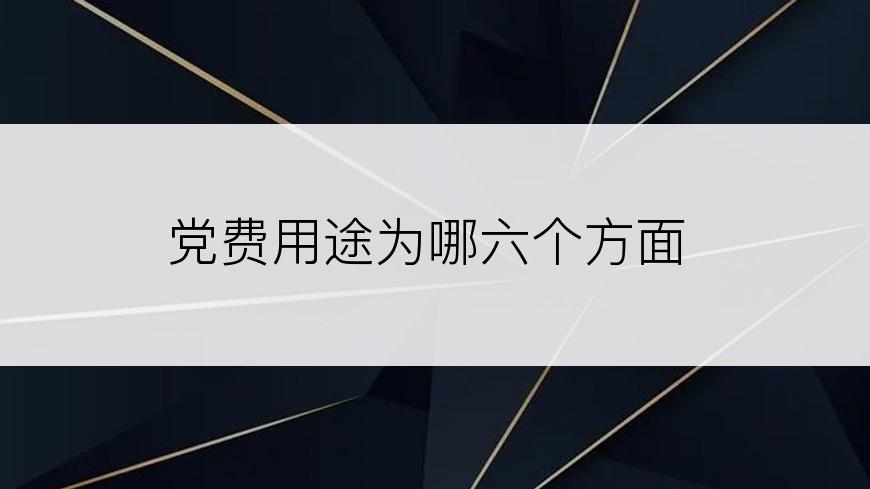 党费用途为哪六个方面