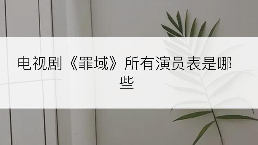电视剧《罪域》所有演员表是哪些