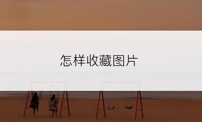 怎样收藏图片