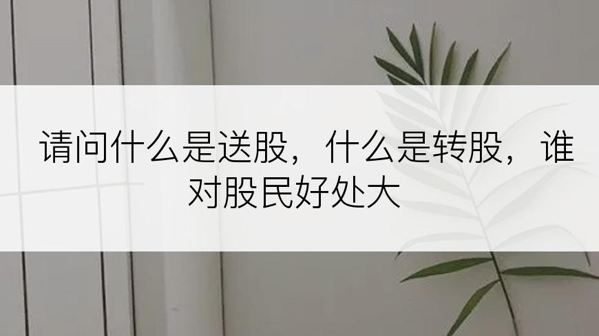 请问什么是送股，什么是转股，谁对股民好处大