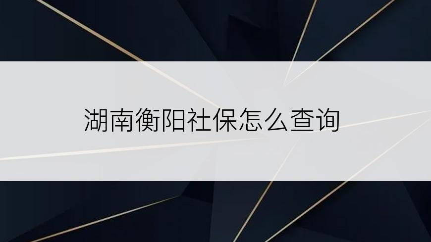 湖南衡阳社保怎么查询