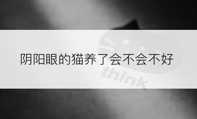 阴阳眼的猫养了会不会不好