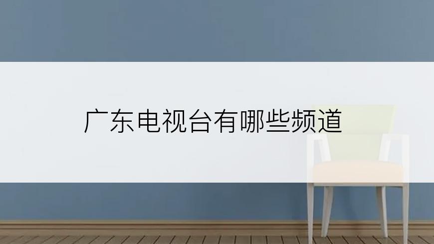 广东电视台有哪些频道