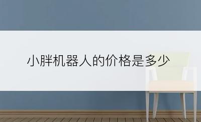 小胖机器人的价格是多少