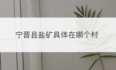 宁晋县盐矿具体在哪个村