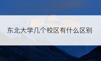 东北大学几个校区有什么区别