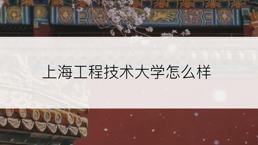 上海工程技术大学怎么样