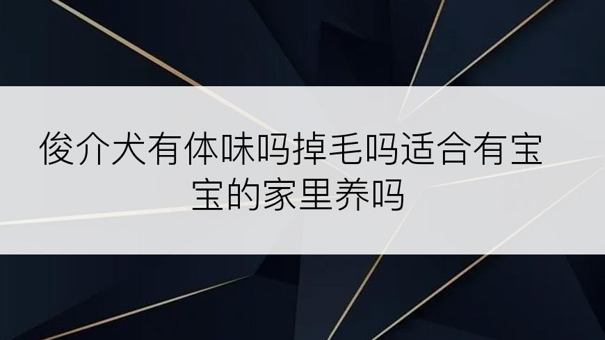 俊介犬有体味吗掉毛吗适合有宝宝的家里养吗
