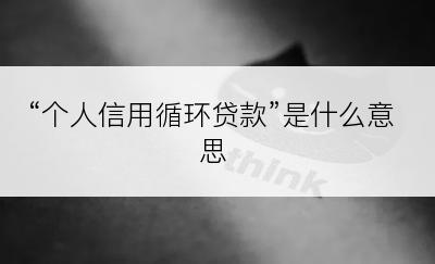 “个人信用循环贷款”是什么意思