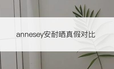 annesey安耐晒真假对比