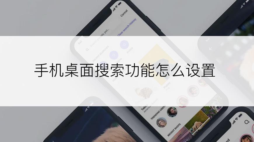 手机桌面搜索功能怎么设置