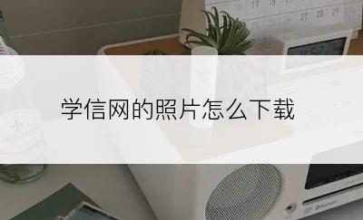 学信网的照片怎么下载