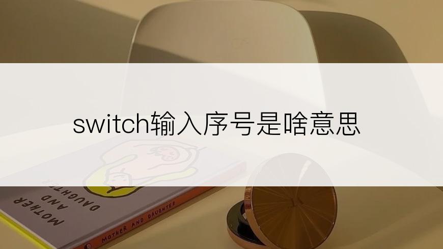 switch输入序号是啥意思