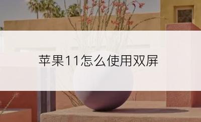 苹果11怎么使用双屏