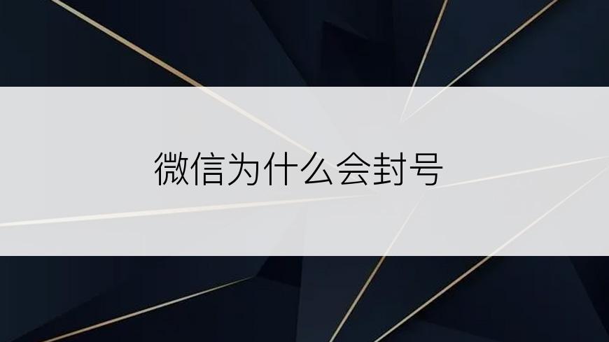 微信为什么会封号