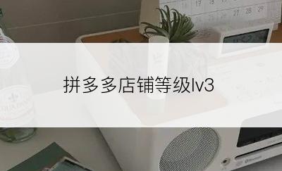 拼多多店铺等级lv3