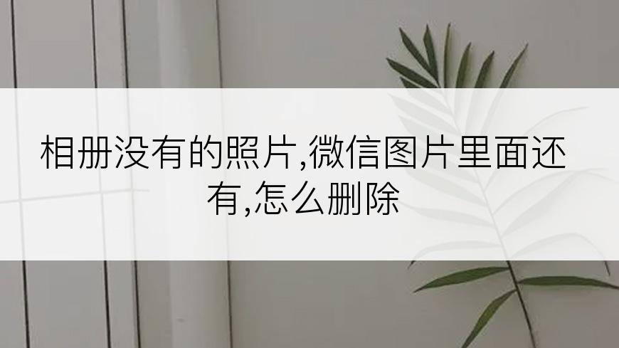 相册没有的照片,微信图片里面还有,怎么删除