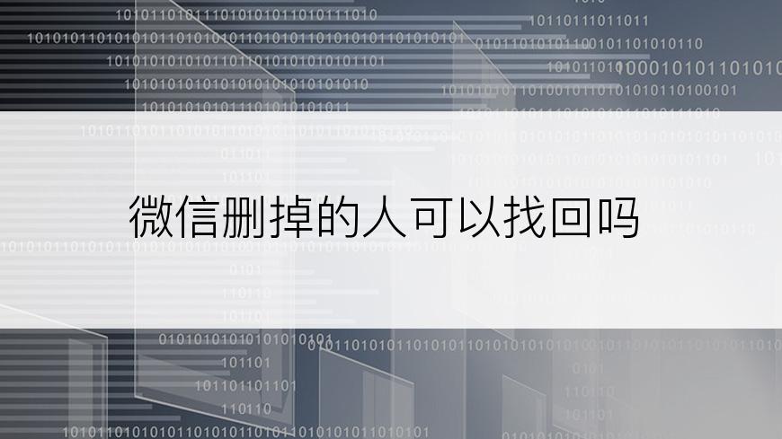 微信删掉的人可以找回吗